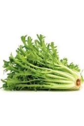 Hindibağı Radika Otu Doğal Dağ Tohumu 20 adet thumbnail 1