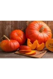 5 Adet Yerli İri Sarı Bal Kabağı Tohumu thumbnail 2