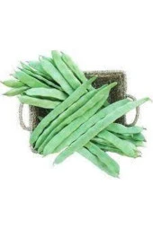 250 Adet Süper Paket Kılçıksız Simbo Fasulye Tohumu thumbnail 2