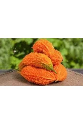 15 Adet Eko Paket Kudret Narı Tohumu thumbnail 2