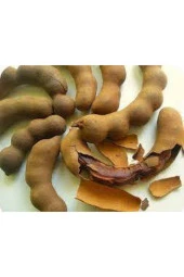 25 Adet Tropikal Demir Hindi Ağacı Tohumu thumbnail 2