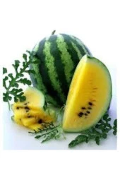 3 Adet Ithal Nadir Sarı Karpuz Tohumu thumbnail 2