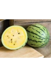 3 Adet Ithal Nadir Sarı Karpuz Tohumu thumbnail 3