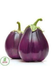 10 Adet Nadir Hollanda Iri Dev Patlıcan Tohumu thumbnail 2