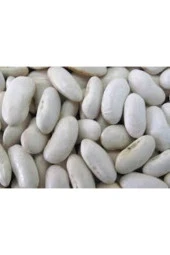 100 Adet Beyaz Fasulye Tohumu thumbnail 3