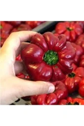 20 Adet Nadir Domates Biberi Tohumu Saksı Toprak Sürpriz Hediye Tohumla Gönderilir thumbnail 1