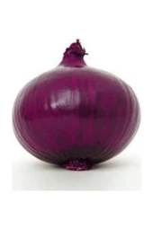 Nadir Ithal Mor Soğan Kışlık Uzun Ömürlü Tohum 100 Adet thumbnail 4