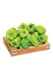 Kandil Dolmalık İnce Kabuk Tatlı Meşhur İlaçsız Dolma Biber Tohum thumbnail 2