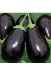 30 Adet Mega Paket Adana Dolmalık Mor Patlıcan Yerli Orİjinal Tohum thumbnail 3