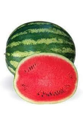 250 Adet Tohum Süper Paket Meşhur Crimson Sweet Karpuzu Tohumu Karpuz Tohumu Sürpriz Hediyeli thumbnail 1