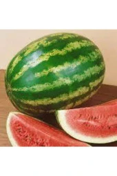 250 Adet Tohum Süper Paket Meşhur Crimson Sweet Karpuzu Tohumu Karpuz Tohumu Sürpriz Hediyeli thumbnail 3