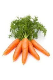 100 Adet Tohum Geleneksel Etli Erkenci Nantes Havuç Ata Tohumu thumbnail 1