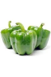 100 Adet Tohum Eko Paket Dolmalık Meşhur Antep Biberi Tohumu thumbnail 1