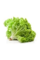 1000 Adet Tohum Eko Paket Kıvırcık  Geniş Yapraklı Maydonoz Tohumu thumbnail 1