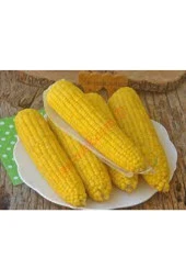 100 Adet Tohum Eko Paket Süt Mısırsüt Mısır Tohumu Darı Tohumu Mısır Tohumu - 4