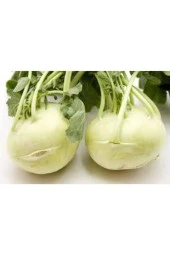 75 Adet Tohum Süper Paket Alabaş Tohumu Yemeklik Faydalı Alabaş thumbnail 2