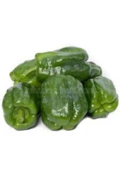 100 Adet Tohum Eko Paket Dolmalık Meşhur Antep Biberi Tohumu thumbnail 4