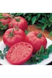 150 Adet Tohum Iri Pembe Domates Tohumu Orjinal Köy Domatesi thumbnail 2
