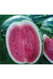 10 Adet Tohum Nadir Karpuz Bal Karpuz Tohumu Crimson Sweet thumbnail 2
