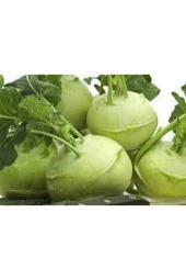 75 Adet Tohum Süper Paket Alabaş Tohumu Yemeklik Faydalı Alabaş thumbnail 3