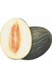 Tohum Kışlık Siyah Kavun 15 Adet thumbnail 1