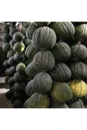Tohum Kışlık Siyah Kavun 15 Adet thumbnail 4