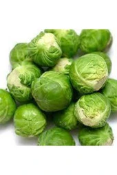 Tohum Yerli Bürüksel Lahana  20 Adet thumbnail 3