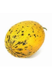 50 Adet Tohum Kırkağaç İnce Kabuk Altınbaş Kavun Tohumu thumbnail 2