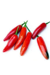 10 Adet Tohum Meksika Biberi Tohumu Acı Meksika Biberi Tohumu Jalapeno Kırmızı Süpriz Hediye Tohumlu thumbnail 1