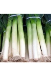 20 Adet Tohum Yeşil Prasa Pırasa Tohumu Orjinal Pırasa Tohumu thumbnail 3