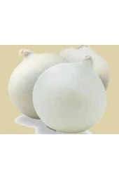 50 Adet Tohum Orjinal Tatlı Beyaz Soğan  Tohumu thumbnail 1