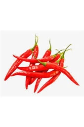 25 Adet Tohum Şili Biberi Tohumu Çok Acı thumbnail 3
