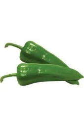 20 Adet Tohum Tatlı Pat Yağlık Biber Tohumu thumbnail 1