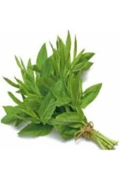 100 Adet Tohum Geleneksel Yediveren Nane Tohumu Sebze Tohumu thumbnail 2