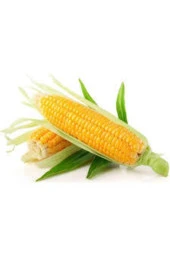 10 Adet Tohum Eko Paket Süt Mısırsüt Mısır Tohumu Darı Tohumu Mısır Tohumu Hediye Tohumlu - 1