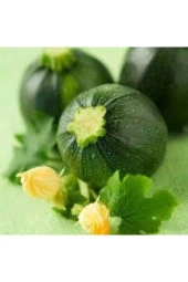 20 Adet Tohum Süper Paket Dolmalık Nadir Topak Kabak Tohumu Yuvarlak Kabak Tohumu Heiye Tohumludur thumbnail 2