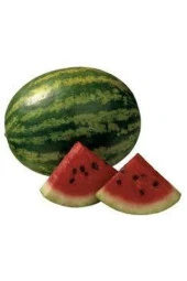 Meşhur Diyarbakır Karpuzu Tohumu 10 Adet Tohum thumbnail 1