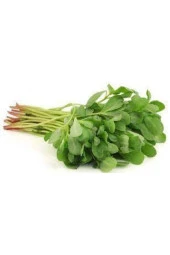 50 Adet Tohum Semiz Otu Tohumu Semizotu Tohumu thumbnail 1