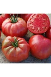 50 Adet Tohum Orjinal Köy Domatesi Tohumu thumbnail 4
