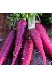 50 Adet Tohum Eko Paket Esvet Mor Havuç Şalgam Tohumu Sürpriz Hediye Tohumludur thumbnail 3