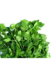 Tohum Geniş Yaprak Maydonoz Tohumu 250 Adet thumbnail 3