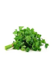 Tohum Geniş Yaprak Maydonoz Tohumu 250 Adet thumbnail 1