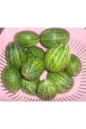 5 Adet Tohum Kelek Tohumu Turşuluk Kelek Tohumu Yeşil Kelek Sürpriz Hediye Tohumla Gönderilir thumbnail 1