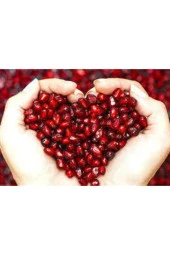 5 Adet Tohum Nar Ağacı Tohumu thumbnail 3