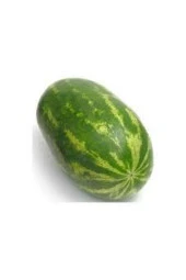 Diyarbakır Karpuzu Tohumu 75 Adet Tohum thumbnail 3