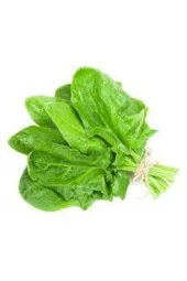 50 Adet Tohum Yerli Pazı Doğal Pazı Ata Tohum thumbnail 1