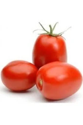 20 Adet Tohum Italyan Rio Grande Domates Tohumu Saksı Toprak Süpriz Hediye Tohum thumbnail 2