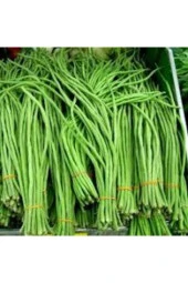 Tohum Uzun Yeşil Çin Fasulyesi Tohumu Sürpriz Hediye Tohum Yeni Mahsül 10 Adet thumbnail 2