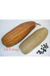 5 Adet Tohum Lif Kabak Tohumu Kabak Tohumu Lif Kabağı Tohumu Sürpriz Hediye Tohum thumbnail 2