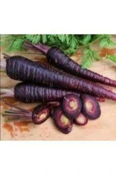 100 Adet Tohum Esvet Mor Havuç Şalgam Tohumu Süpriz Hediye Tohum Siyah Havuç Şalgamlık Havuç Tohum thumbnail 1